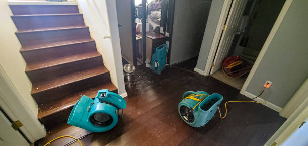 Best Water damage restoration experts  in Lucasville, OH