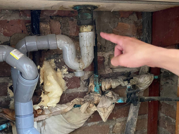 Best Water damage contractors near me  in Lucasville, OH