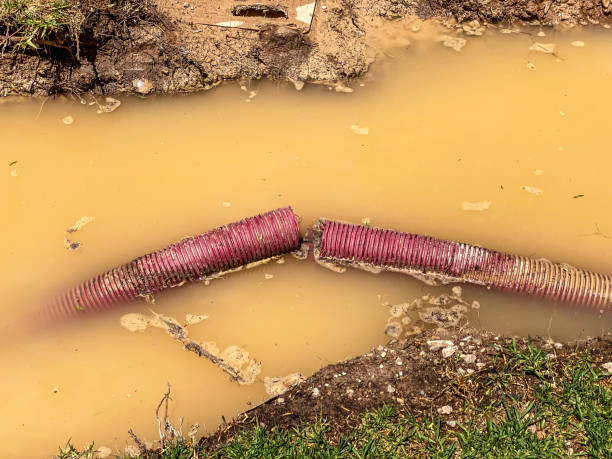 Best Basement water damage restoration  in Lucasville, OH