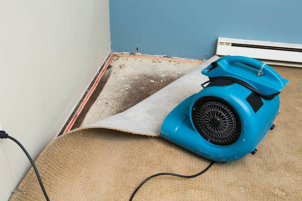 Water damage restoration experts in Lucasville, OH